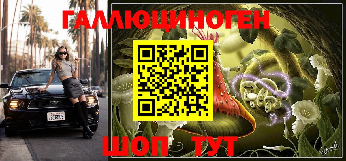 Псилоцибиновые грибы Magic Shrooms  Берёзовский  Галлюциногенные грибы Psilocybe 