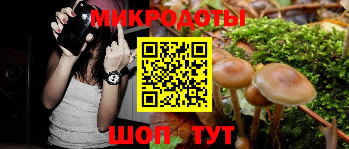 Берёзовский  Псилоцибиновые грибы GOLDEN TEACHER  купить наркотики сайты  Псилоцибиновые грибы Psilocybine cubensis  Вход с VPN 