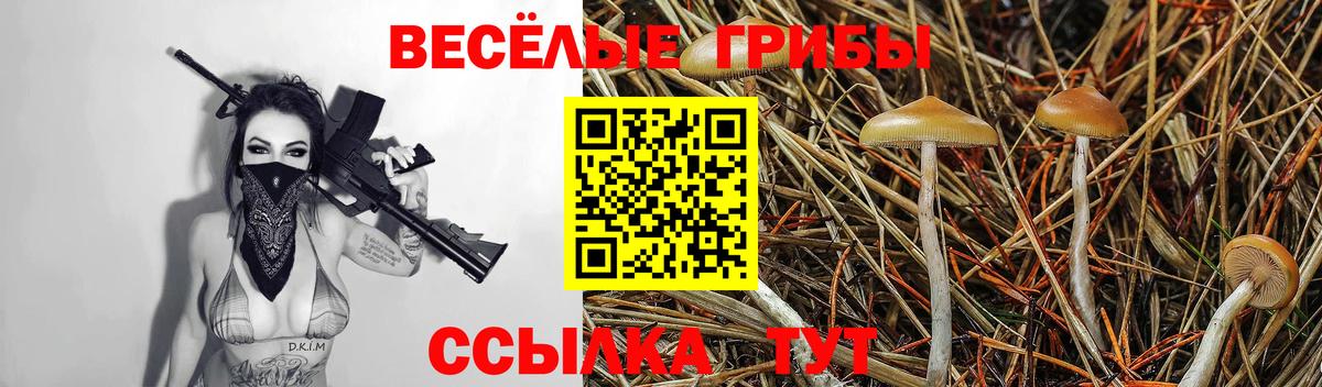 Псилоцибиновые грибы прущие грибы Берёзовский